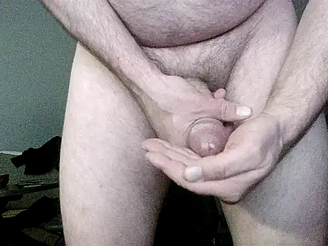 Palimy's cam snapshot