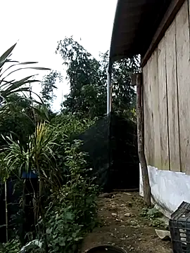 lusy-bae's cam snapshot