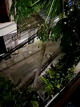 pareja_curiosa19 live sex cam