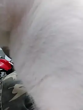 King_russo's cam snapshot