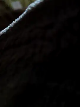 kumarisoni's cam snapshot