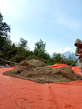 Suzuki_see's cam snapshot