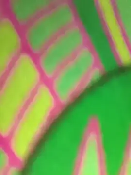 Kanak_5's cam snapshot