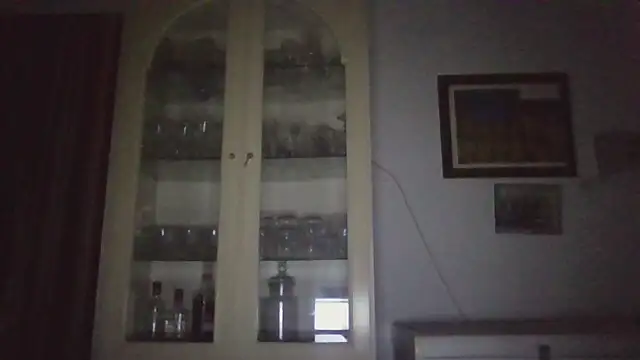 llopaco's cam snapshot