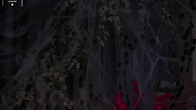 EdlinAlliston's cam snapshot