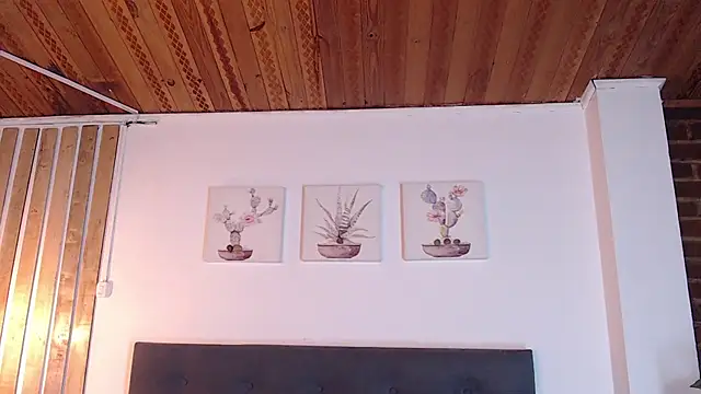 liafaith's cam snapshot