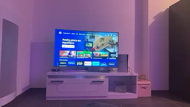 lola0003's cam snapshot