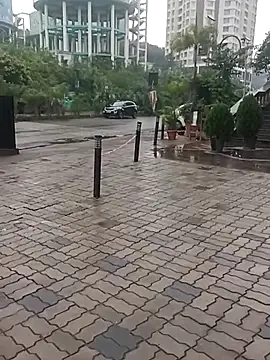 scientific4sex's cam snapshot