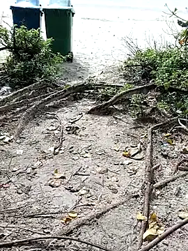 1010SumiT's cam snapshot