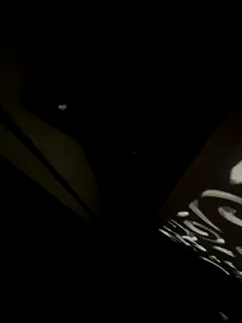 rajasthanichora1310's cam snapshot