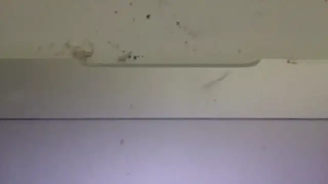 edger4lif3's cam snapshot