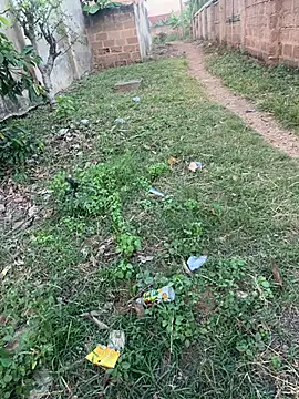 Black-mamba-madingo live sex cam