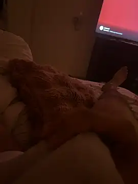 Thebigbiengrosse's cam snapshot