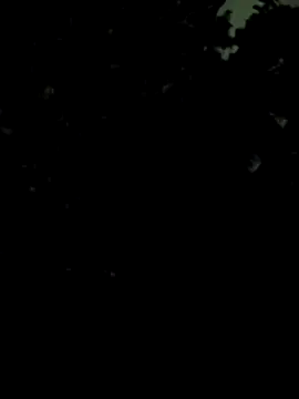 Girls_pussy_rider's cam snapshot