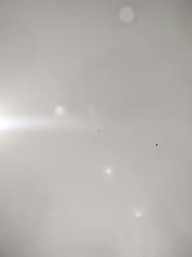 Nala1986's cam snapshot