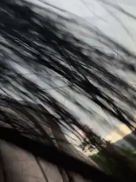 LiaCollings's cam snapshot