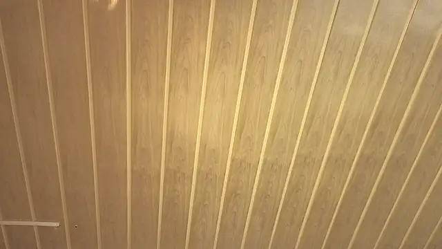 Renaxi_Smith's cam snapshot