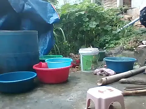 Mainay0033's cam snapshot