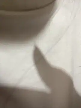 Sophia-123's cam snapshot