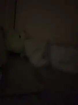 chick-888's cam snapshot