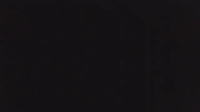 ANNI-E's cam snapshot