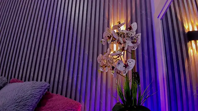 DAFNECOX's cam snapshot