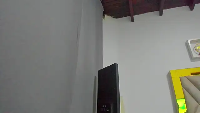 ariana-martins's cam snapshot