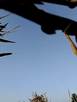 Romantic_Dokdi's cam snapshot