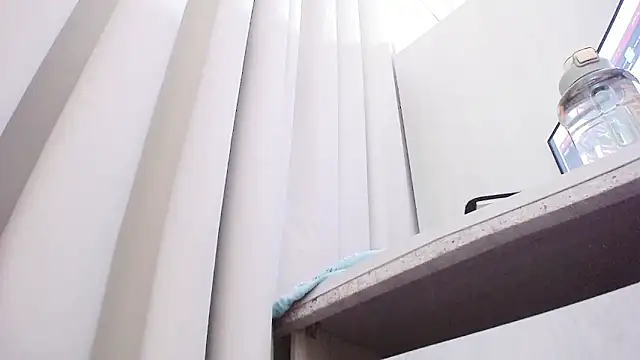 Brosnahan's cam snapshot