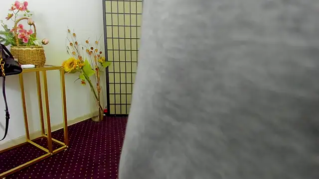 AishaRouhi's cam snapshot