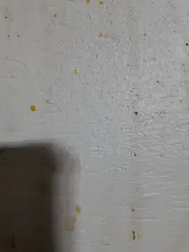 Kataliya-Velvetxx's cam snapshot