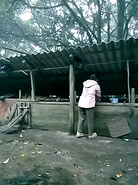 ngan-cute's cam snapshot