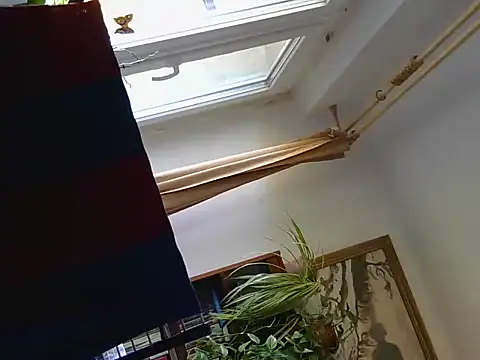 shsfdfl52's cam snapshot