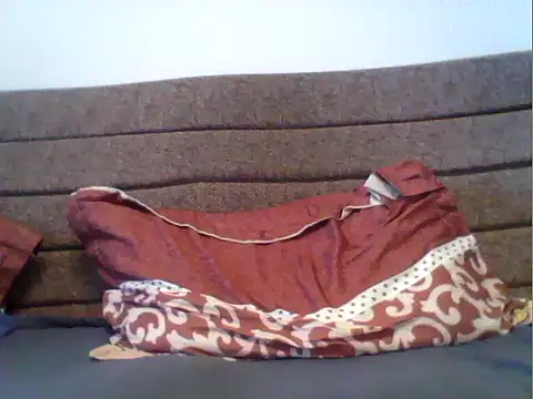 parshivu's cam snapshot