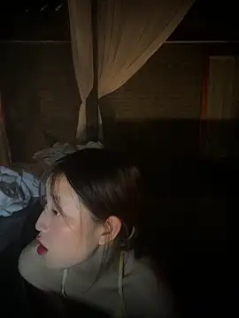 littleqiu's cam snapshot