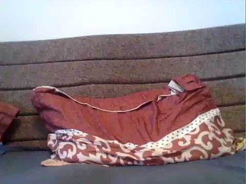 parshivu's cam snapshot