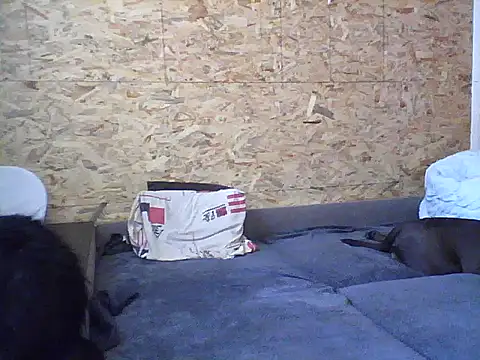 Milana38's cam snapshot