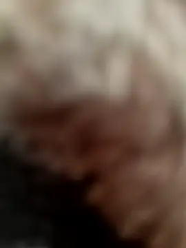 hekeneb live sex cam