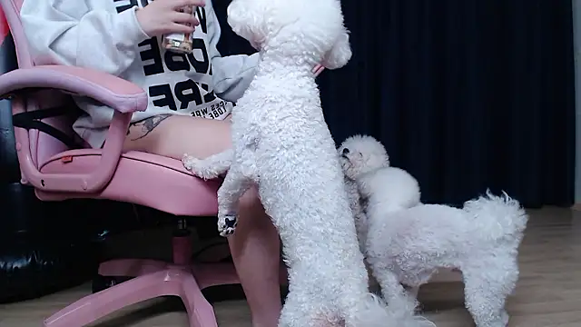 MISA_02's cam snapshot