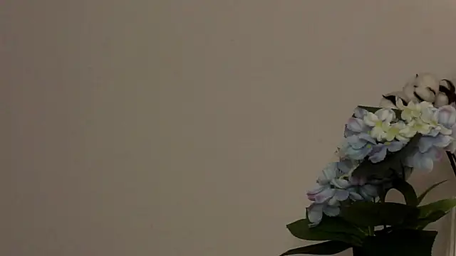 ImaCatus's cam snapshot