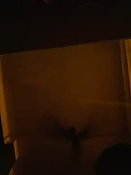 sexyindi_couple's cam snapshot