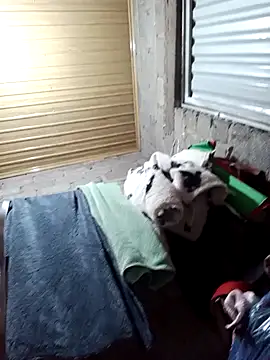 jienrrr's cam snapshot