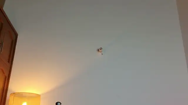 yayoi_cresp18's cam snapshot