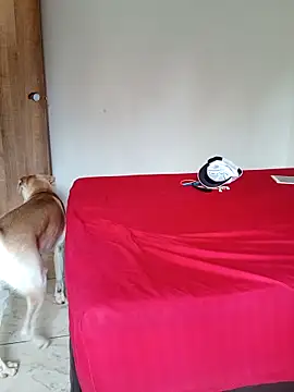 LEIRIS_Y_FRED_01's cam snapshot