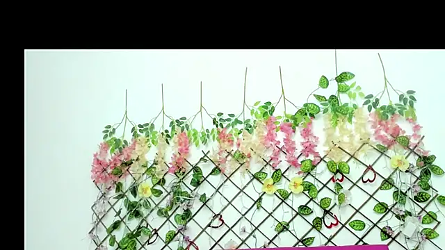 stefany_bitch live sex cam