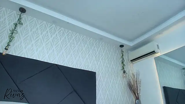 sandy_rivas's cam snapshot