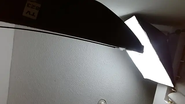 max_ashley_mds live sex cam