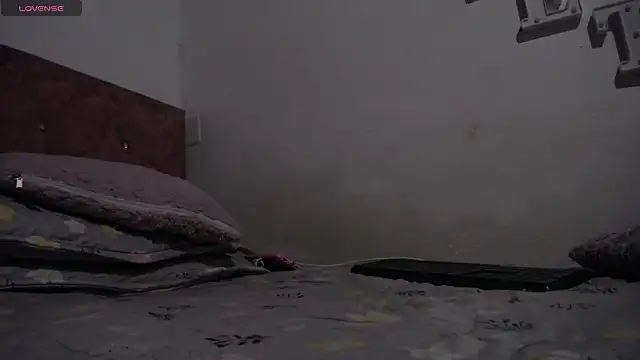 solpeich's cam snapshot