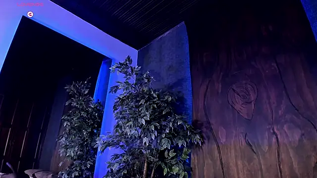 Taylor-Jonnees's cam snapshot