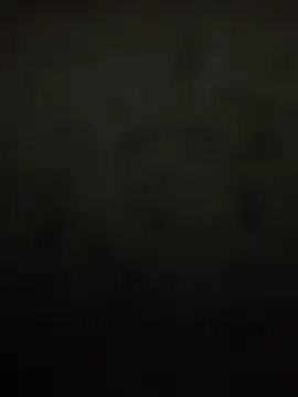 Likewise's cam snapshot